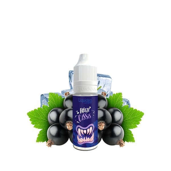 Freeze Cassis - Liquideo 10ml 10mg